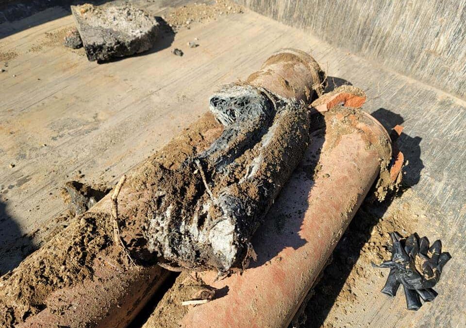 What Happens When You Ignore Your Damaged Sewer Pipes?